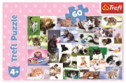 Imagine PUZZLE TREFL 60 O LUME A PISICILOR