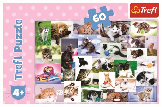 Imagine PUZZLE TREFL 60 O LUME A PISICILOR