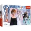 Imagine PUZZLES 30 MAGICAL FROZEN