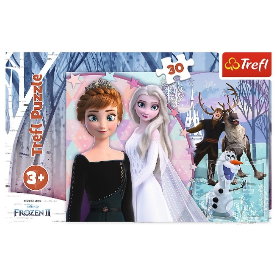 Imagine PUZZLES 30 MAGICAL FROZEN