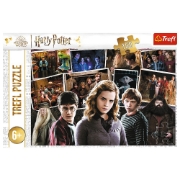 Imagine PUZZLE TREFL 160 HARRY POTTER