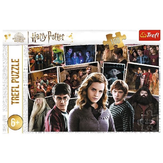 Imagine PUZZLE TREFL 160 HARRY POTTER