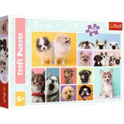 Imagine PUZZLE TREFL 160 PRIETENIA CATELUSILOR
