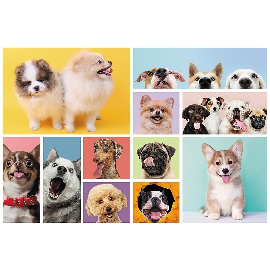 Imagine PUZZLE TREFL 160 PRIETENIA CATELUSILOR