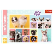 Imagine PUZZLE TREFL 160 PRIETENIA CATELUSILOR