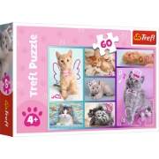 Imagine PUZZLE TREFL 60 PISICUTE DRAGUTE
