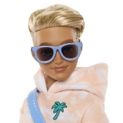 Imagine BARBIE DREAM BESTIES PAPUSA KEN CU ACCESORII