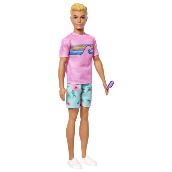 Imagine BARBIE MYSTERIES DETECTIVI PE PLAJA PAPUSA KEN CU ACCESORII