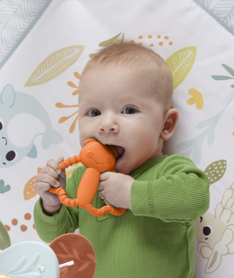 Imagine Jucarie dentitie pentru bebelusi gandacelul portocaliu