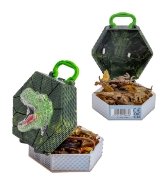 Imagine NATURE WORLD DINO SET 6 DINOZAURI IN CUTIE PIRAMIDA