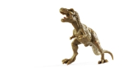 Imagine NATURE WORLD DINO SET 6 DINOZAURI IN CUTIE PIRAMIDA