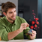 Imagine LEGO BOTANICAL COLLECTION FLORI DE PRUN 10369