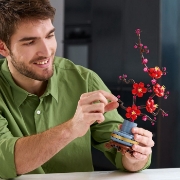 Imagine LEGO BOTANICAL COLLECTION FLORI DE PRUN 10369