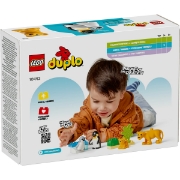 Imagine LEGO DUPLO FAMILII DE ANIMALE SALBATICE: PINGUINI SI LEI 10442