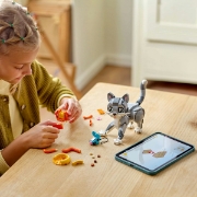 Imagine LEGO CREATOR PISICA JUCAUSA 31163