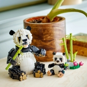 Imagine LEGO CREATOR ANIMALE SALBATICE: FAMILIA DE URSI PANDA 31165