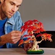 Imagine LEGO BOTANICALS BONSAI DE ARTAR JAPONEZ ROSU 10348