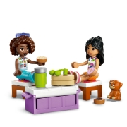 Imagine LEGO FRIENDS MASINA DE CALATORII A PRIETENIEI 42659 