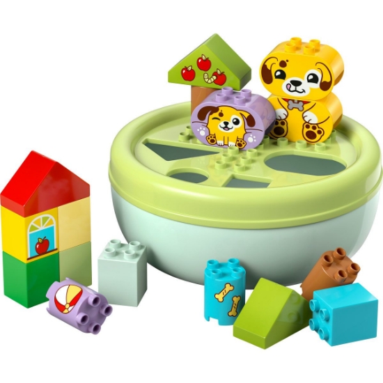 Imagine LEGO DUPLO SORTATOR DE FORME CASA PENTRU CATEI 10441