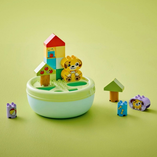 Imagine LEGO DUPLO SORTATOR DE FORME CASA PENTRU CATEI 10441