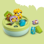Imagine LEGO DUPLO SORTATOR DE FORME CASA PENTRU CATEI 10441