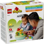 Imagine LEGO DUPLO SORTATOR DE FORME CASA PENTRU CATEI 10441