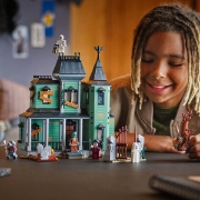Imagine LEGO CREATOR CONACUL BANTUIT 31167