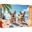 Imagine PUZZLE TREFL 100 CATEL CORGI