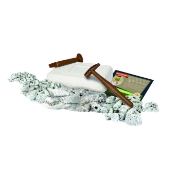 Imagine DESCOPERA DINOZAURUL T-REX