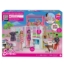 Imagine BARBIE SET CASA BARBIE CU 4 CAMERE