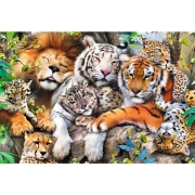 Imagine PUZZLE TREFL DIN LEMN 500+1 PIESE FELINELE DIN JUNGLA
