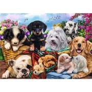 Imagine PUZZLE TREFL UFT 500 CATELUSII LENESI