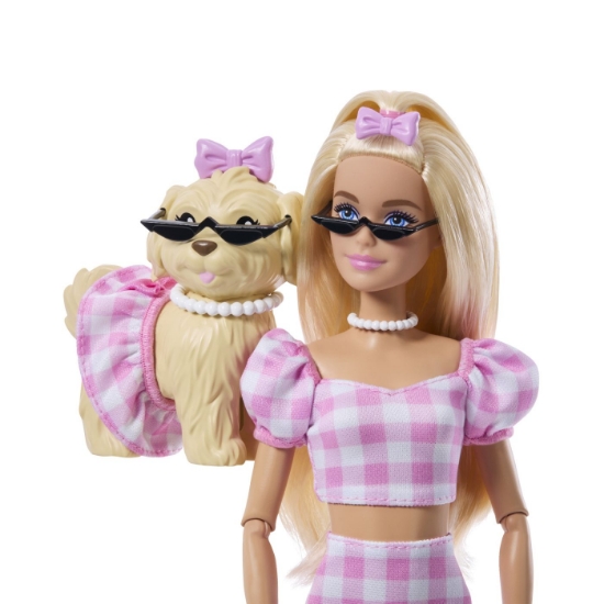 Imagine BARBIE TWINNING LOOKS SET PAPUSA BARBIE BLONDA SI CATEL CU ACCESORII