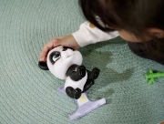 Imagine PAMPER PETZ URSULETUL PANDA
