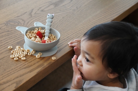 Imagine Set 2 castronele cu ventuza silicon Melii model bulldog