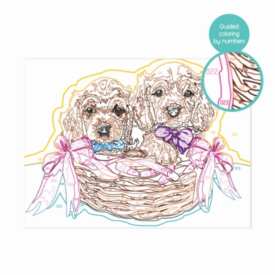 Imagine PICTEAZA SI INRAMEAZA CATELUSI ADORABILI