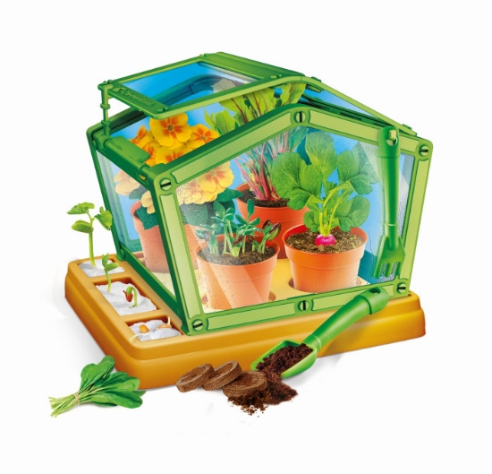 Imagine Știință și joacă – Prima mea seră