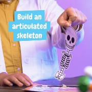 Imagine JOC EDUCATIV DESCOPERA CORPUL UMAN