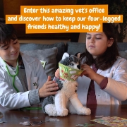 Imagine PRIMUL MEU KIT DE VETERINAR