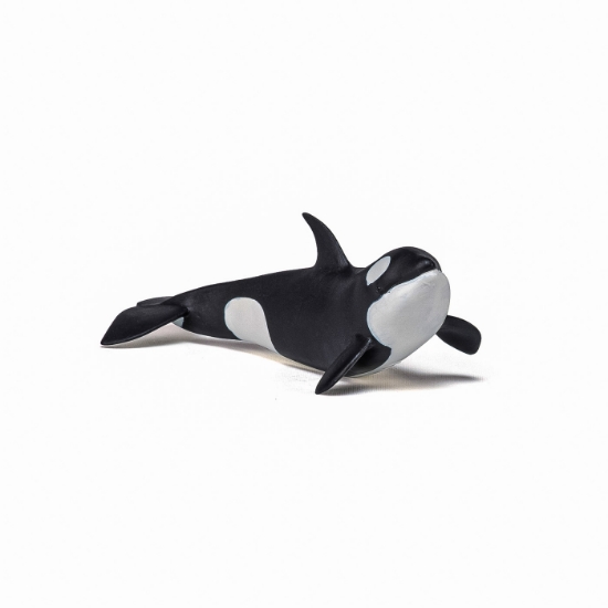 Imagine PAPO FIGURINA PUI BALENA UCIGASA