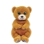 Imagine PLUS TY 15CM BEANIE BELLIES DUNCAN URSULET