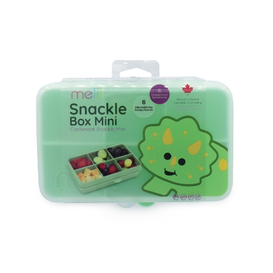 Imagine CUTIE SNACK 6 COMPARTIMENTE, MELII, PRINT DINOZAUR