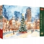 Imagine PUZZLE TREFL 1000 PREMIUM PLUS CENTRAL PARK USA WINTER WONDERLAND 