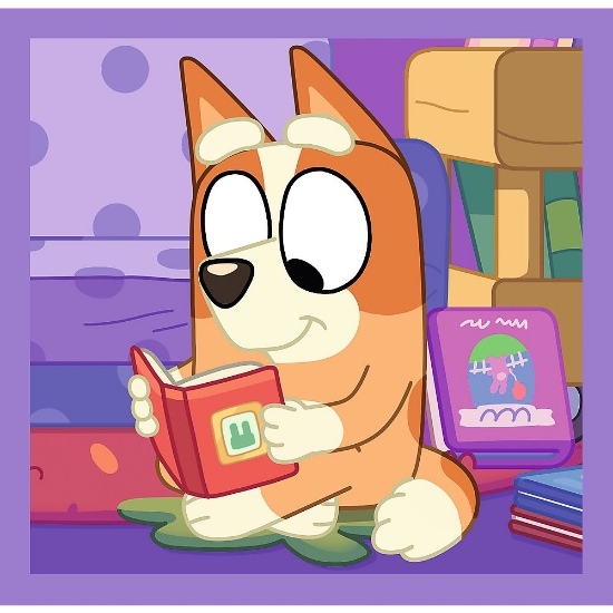 Imagine PUZZLE TREFL 3IN1 BLUEY FACETI CUNOSTINTA CU BLUEY 