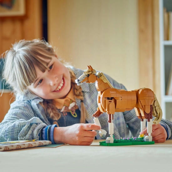 Imagine LEGO CREATOR CAL FRUMOS 31166 