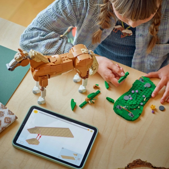 Imagine LEGO CREATOR CAL FRUMOS 31166 