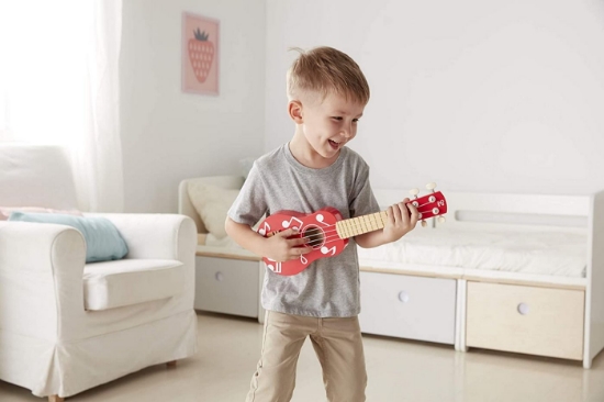 Imagine Hape Set Mini Formație