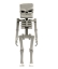 Imagine MINECRAFT FIGURINA SKELETON 30CM