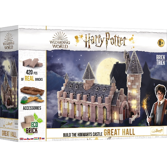 Imagine BRICK TRICK HARRY POTTER SALA MARE
