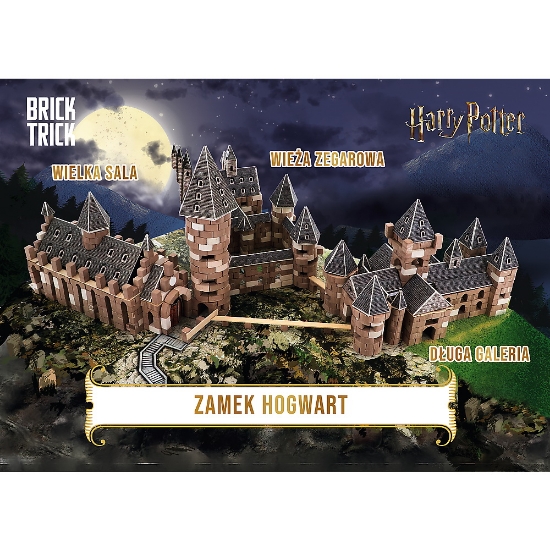 Imagine BRICK TRICK HARRY POTTER SALA MARE